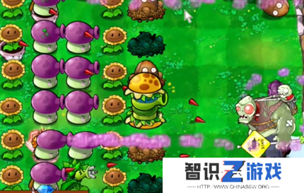 PVZ杂交版英雄模式公主驾到通关详解