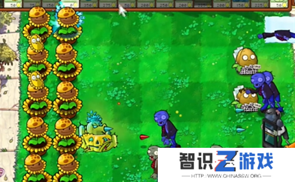 PVZ杂交版英雄模式英雄登场通关详解