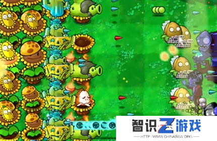 PVZ杂交版英雄模式英雄登场通关详解