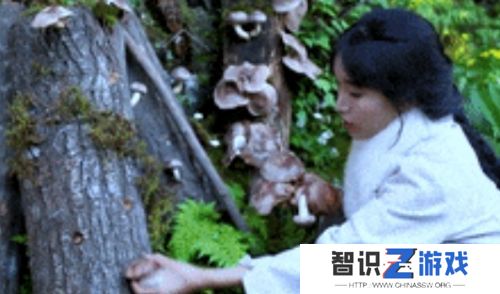 李子柒再度火上热搜，做缙云烧饼，品丽水美食，现实版“世外桃源”