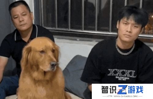 小杨哥已无“三只羊”标识，旗下多个主播复播，名下51万股权已被冻结