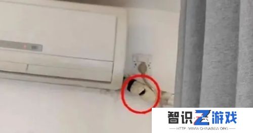 全网爆火的“反**侠”竟是自导自演，“影子不会说谎”已被抓获