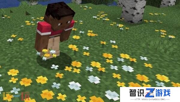 《我的世界》新增六项功能 将放弃传统大型夏季更新
