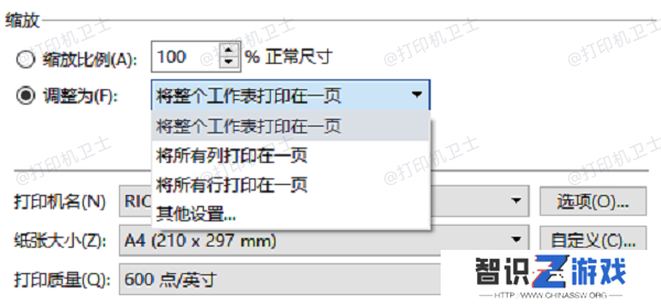 在打印设置中调整尺寸