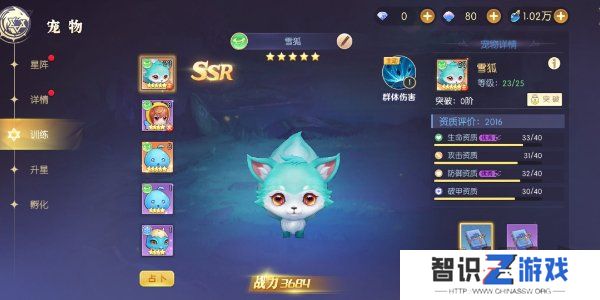 天启圣源宠物搭配攻略 天启圣源宠物怎么搭配好