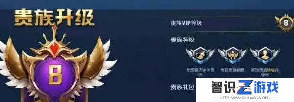 王者荣耀v8要充值多少钱 王者荣耀v8消费记录查询2024一览