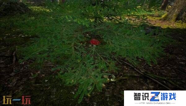 《蘑菇猎人模拟器》将于2025年Q3登陆Steam