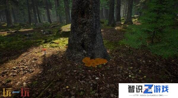 《蘑菇猎人模拟器》将于2025年Q3登陆Steam