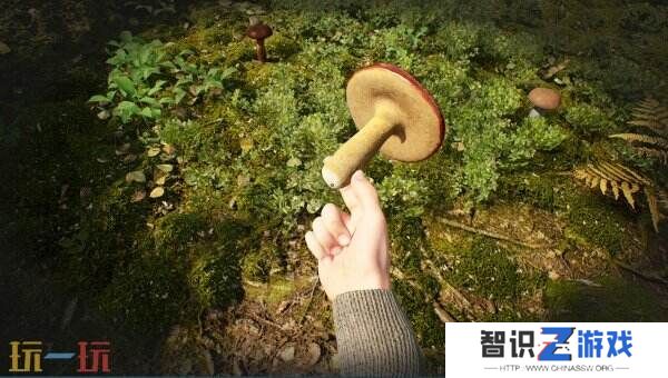 《蘑菇猎人模拟器》将于2025年Q3登陆Steam